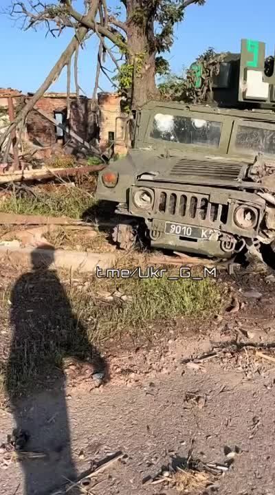 � ���� ����������� ������������ ���, ������������ �� �� ���������� ������� ������� ������������ �� ���� �������