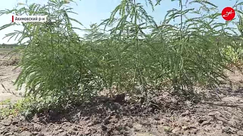 ��� ��������� ������� ������ � ������� ��������� � ����������� ������� �������� ��������� ����� ����� �������� �����
