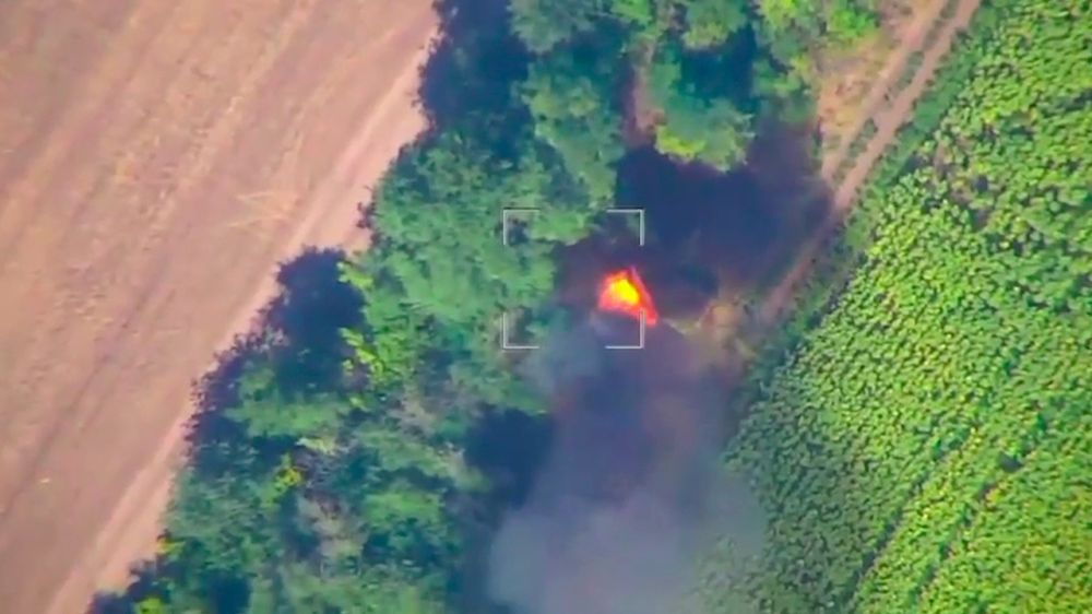 ���������� ����� ���������� ��� Paladin ������������� ������������ � ������� ���� �������