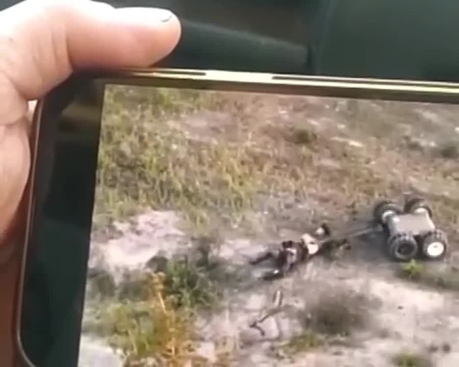��� ��������� �����-��������, ������� ������ ����������� �������� � ���� ���