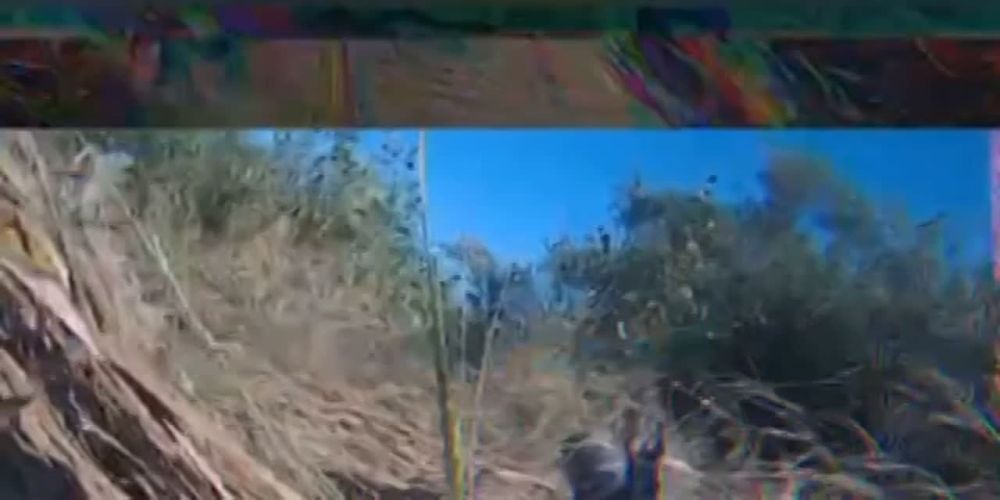 ����� ������������ �������������� ������ �� ��������� ����������