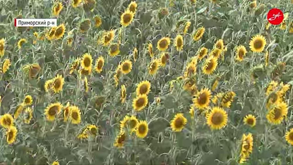 ������� ����������� ������� ��������� ���������� � ������ �������������