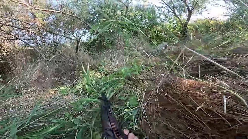 � ���������� �������� �������� ��������� ����� ����������� ����� ��������� ���