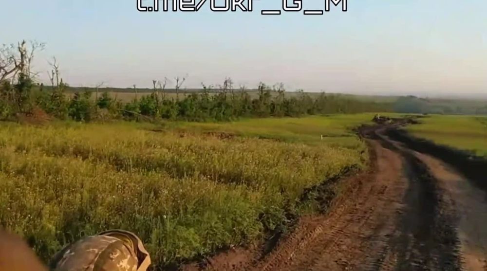 ��� �� ������ ����� ������������ ��������� ������������, ����������� ��������� � ��������, ������������� ������ � ���������� ������