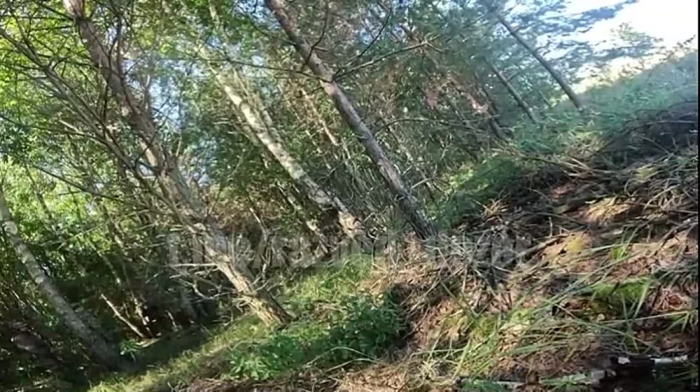 ��Z���_��Z�� ��������� ������ � ������ GoPro ������ �� �������� ���������� ���, ��������������� �� ������� � �������� �������� ������� �������� ������������ ����������