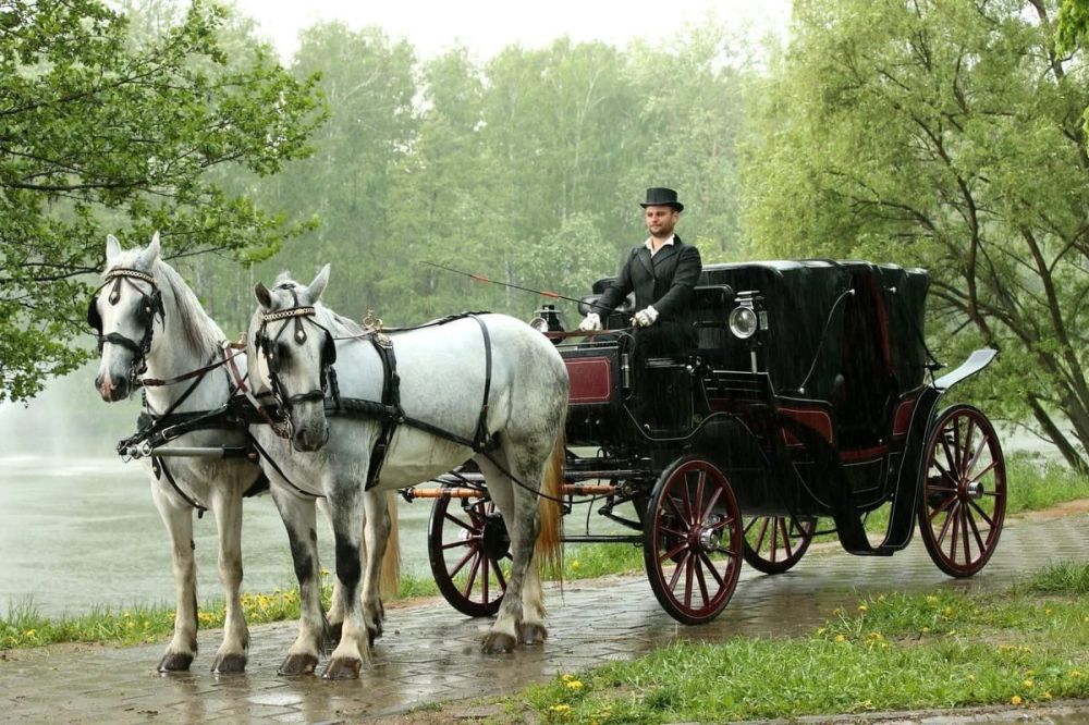 � ������� ������� ��������� ��������� ����� 250 ����� ��������������