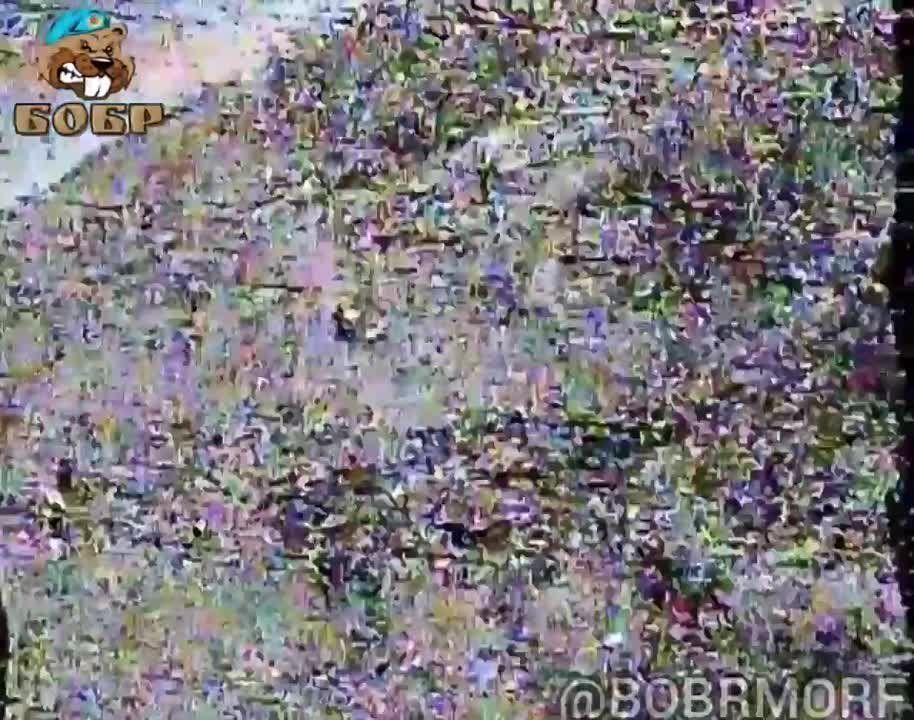 ��������� ����� ������ @BOBRMORF � ������� FPV-����� �� ������ ������ ��� �� ���������