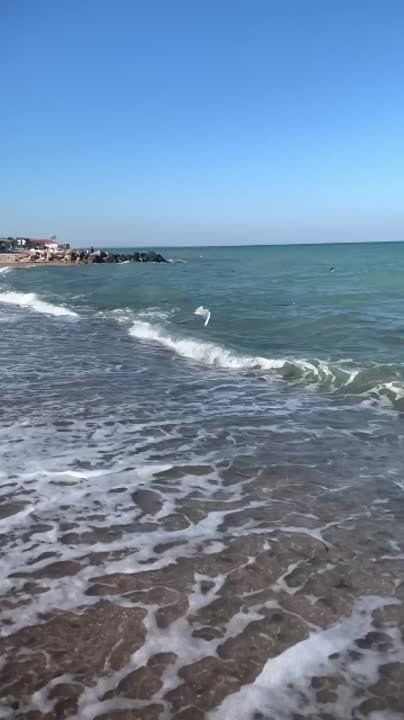 � 17 �� 21 ������� � ����� ��� ������� �������� ��������� ����� ��������� �������� ��������� ��������.��һ (������ �� �����������)