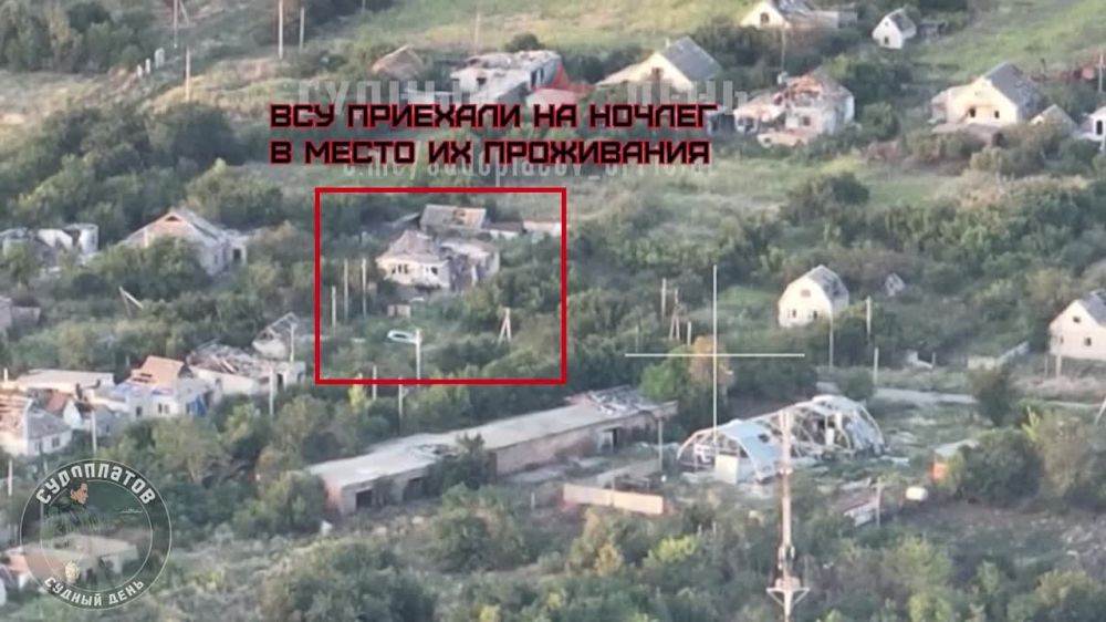 ����� ������ FPV ������ �� ������������ ����������