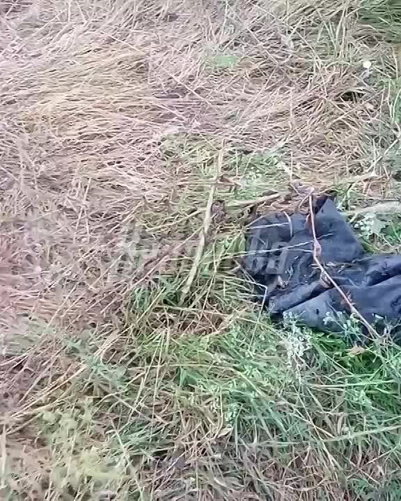 ������� ���������� � �������� �������� ������ ������ ��� �� ����������� �����������