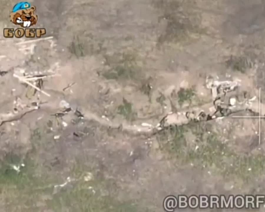 ������� �������: ����� ��������� ������ ��� ���������� FPV-������������� �� ����������� ����������� ������