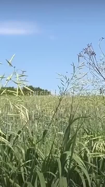 ���� ��� ������� ����� ��� ����������