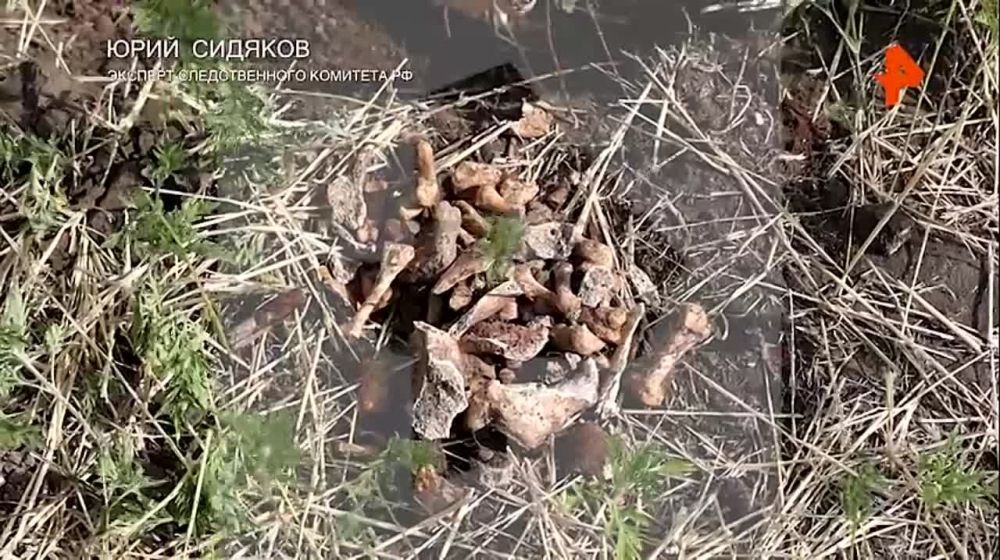 ��� ����� ��������: ������� ������ ������� ������������� ����� ���������� � ����������� �������
