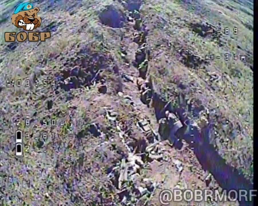 ����� ����������� ������ ���������� �� ������ ����