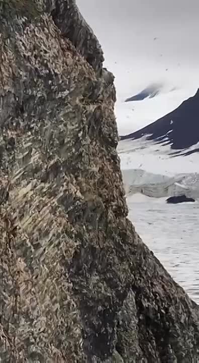 �������� ������� � ����� ����� �� ����� ������-������