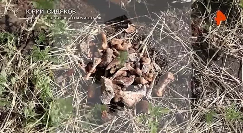 ������� ������ ������� ������������� ����� ���������� � ����������� �������