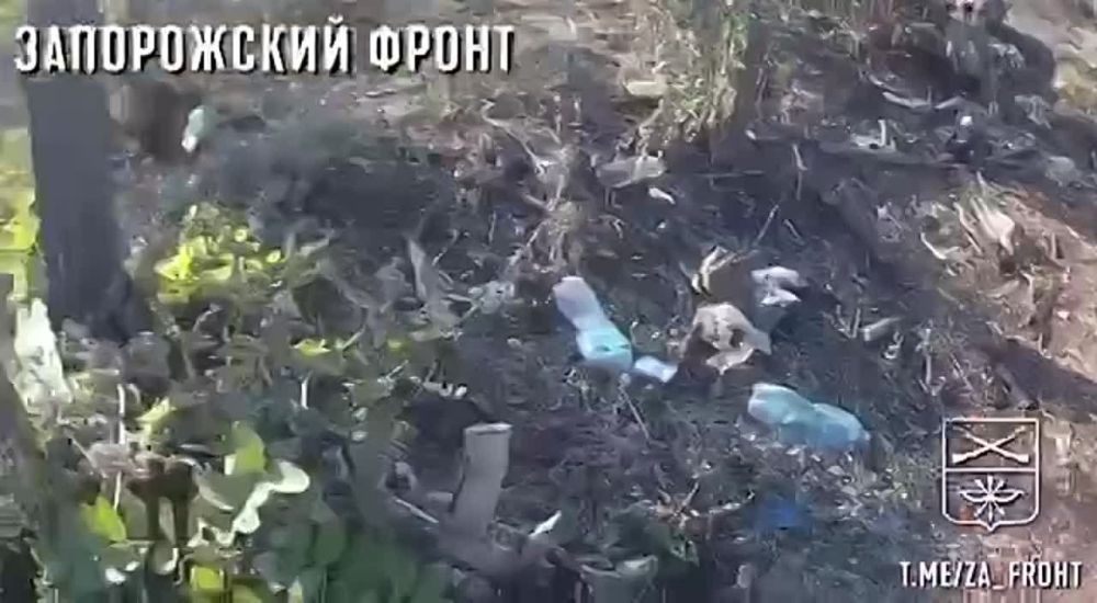 ����� ������ ������� ������� ��������� ������ ������� ��� � ����������� �������