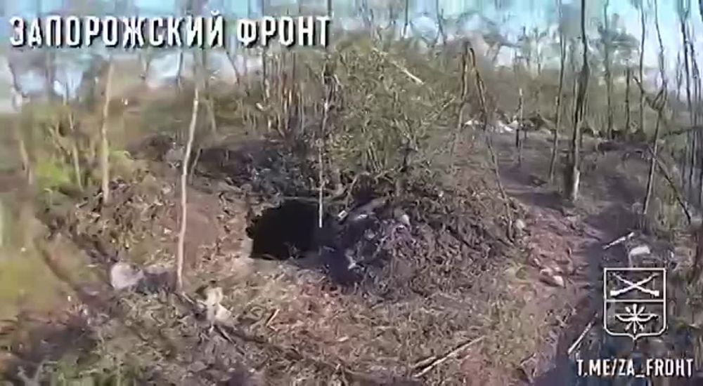 ����� �������� ������� ���������� �� ����� ������ �� ����������� �����������