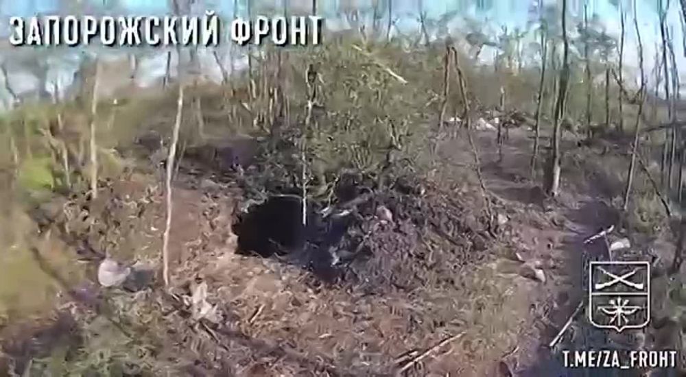 ����� ������������ ������� ����� � �������� �� ����������� �����������