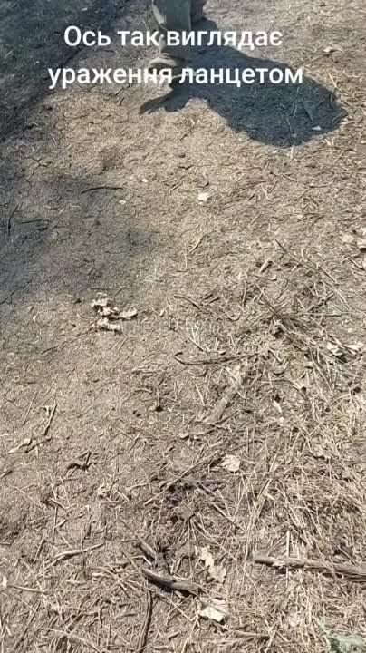 ������ ������� ��������������� ��������� �������������� ���������