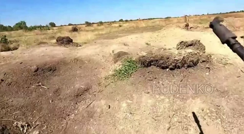 ����� �����: ��������� ����� ����������� ��� �� ����������� �����������!