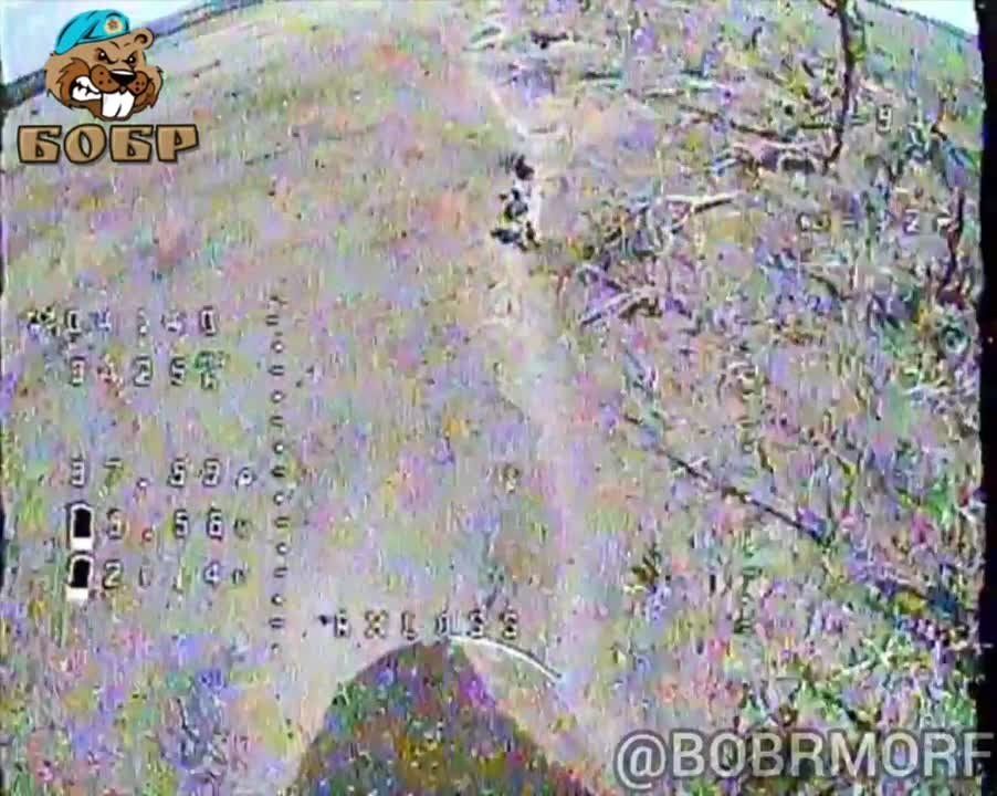 ����������� ����� ���� ���������� ������� ����