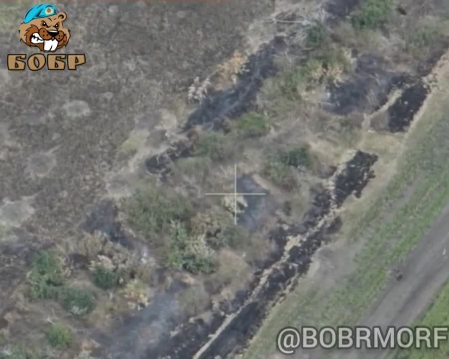 ����������� ������ ��������� ���������� ������ FPV-������ �� ����������� �����������