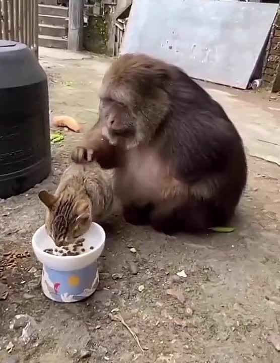 #���������. ��������� ������, ���������� ���� � ������� ��� ��������, ��������� ������ � ������� � �������