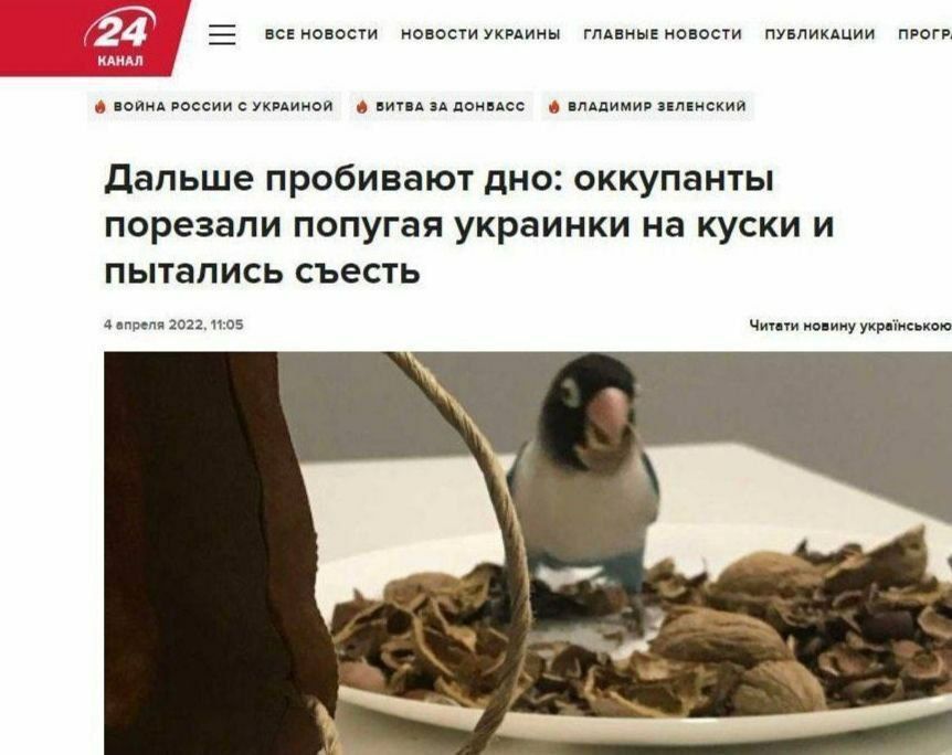 ����, ��� �� ������?!. �������: ����� �������, ��� �������������� �������� ���, ����� ����������� ������