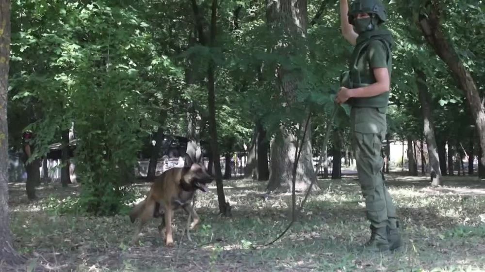 ����� �����: �������������� ������� ����������� ����������� ������� ������������ ������������ � ������������ ������� ����������