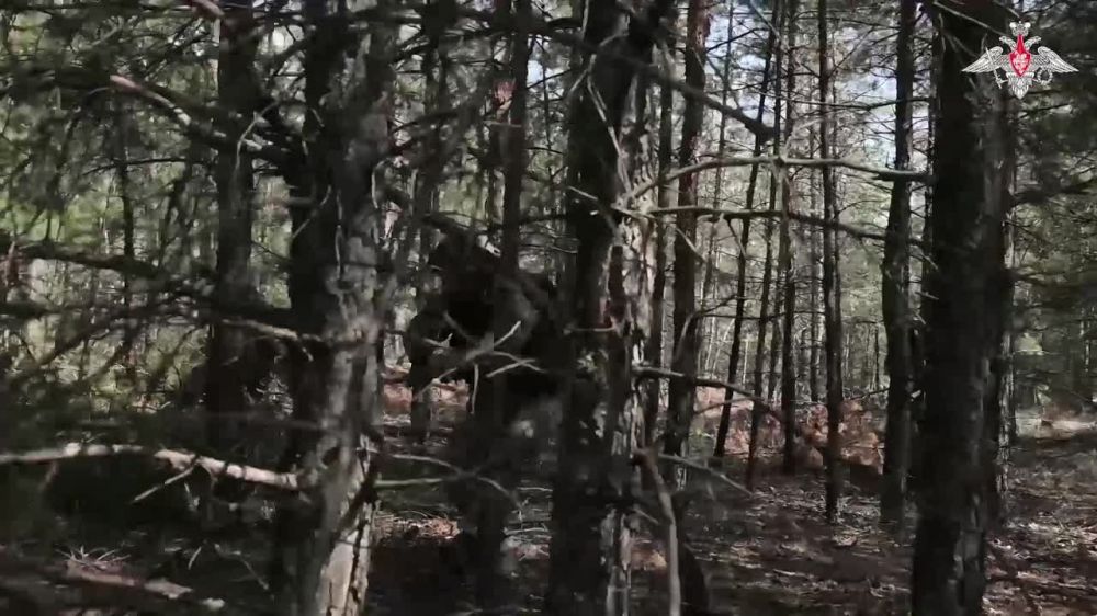���������� �� ���� ���������� ������ �������� ������ ���. � ���� ���������� ������ ������ �������������� ����������� � ����� ��������, ��� ��� ������ ���� ������� ������� ����� ����������