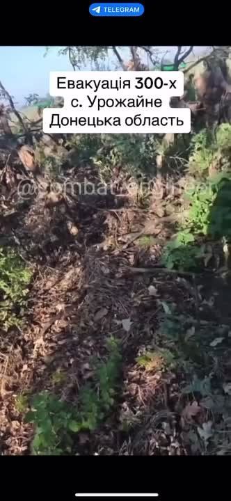 ��� �������� �������������� ���� ����� ������ �������