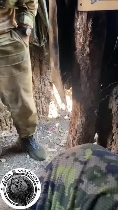 ����������� �����, 2023. ����� �� 70 ��������������� ����� 42 ������� �� �������� ���� �������. ��� ����� ������ ��� ����� ����������