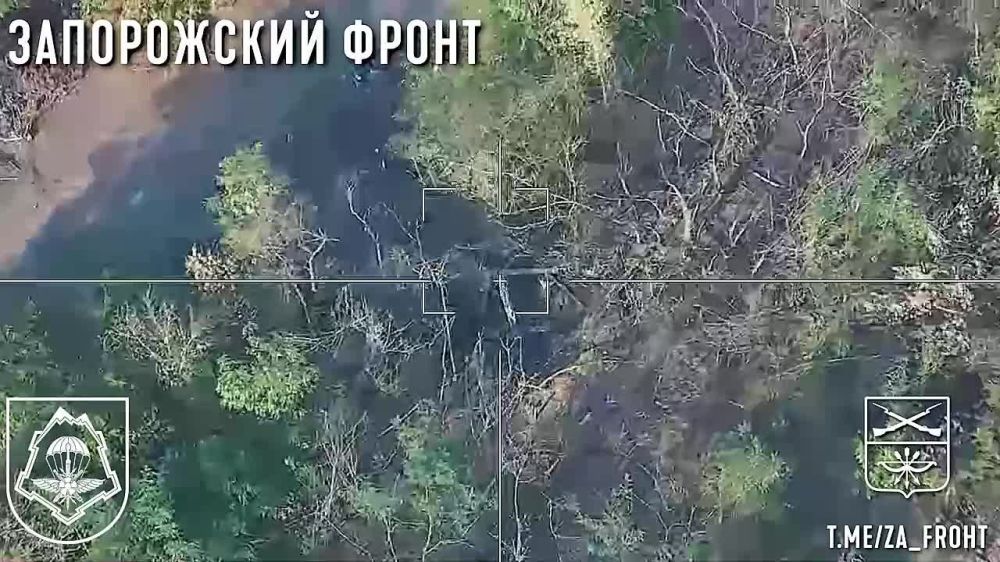 ���������� ������ ���������� �������� "�����" � 810 ������� ������� ������ �� ����������� ��������������� ������ ������������� ����������� ������ �� ����������� �����������