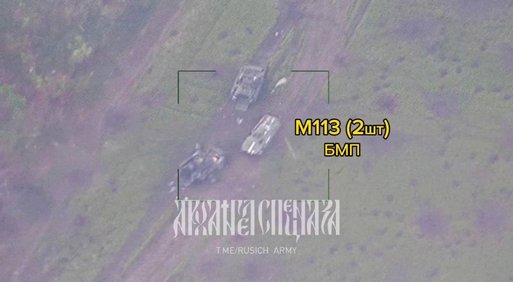 ����� �����: ����������� ����������� ��������