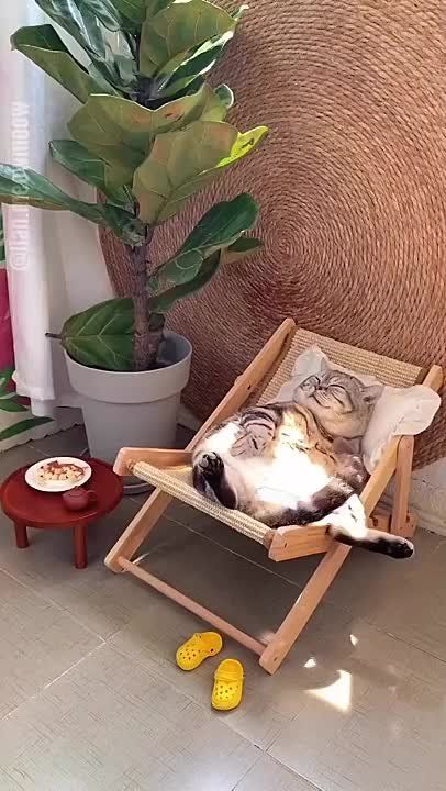 ���� ����� ������!. ������������ ���������� ������� �������� � ���� ����