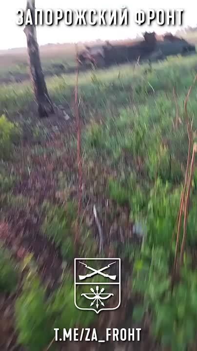 ������������ ���� �-64�� ����� ��� �� ����������� �����������
