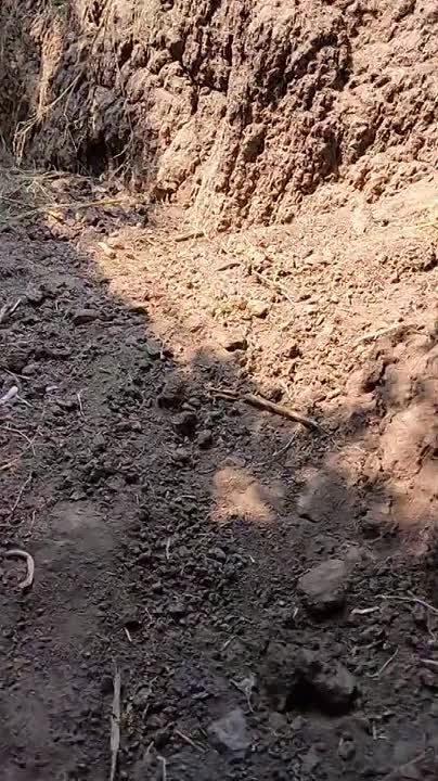 Юрий Котенок: Немецкая БМП Marder 1A3, брошенная укровояками на Запорожском направлении