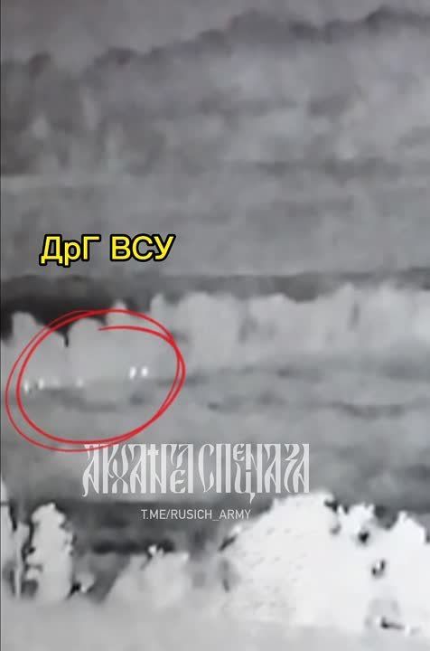 ����� �����: ����������� �����������, ����������� ����� �������������� ��� ��� � ������ �������� �����