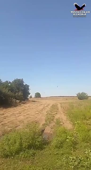 ����������� �����������. ����� �.�. �������� 13:00 22.08