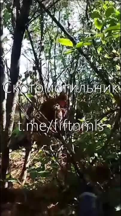 ������� ��� ���� ����� � ���� �� ����� �� �������� ������