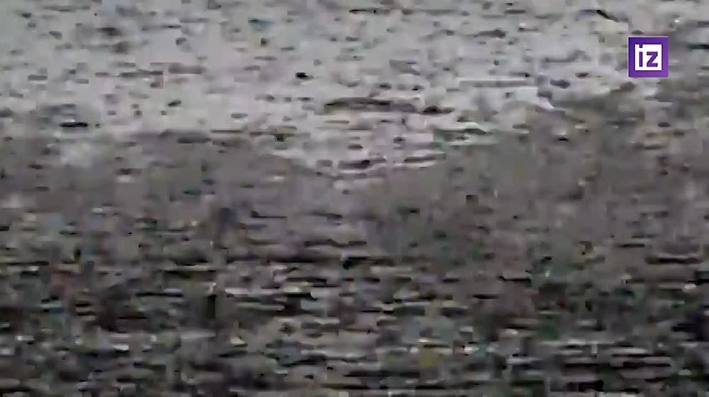 �� �� �������� ������ �� ������������ ��� �� ����������� �����������