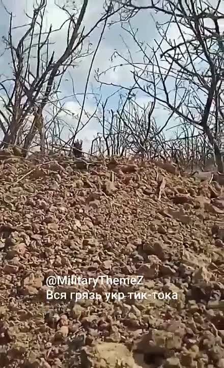 ��������� ���������, ������ ����� �� ����� ���� �������� ����������? � ��� ����� ������, ������, ��� � ����� ���������� � ���������:
