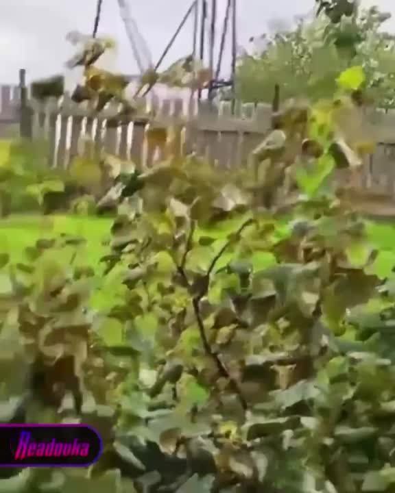 �������� �����: � �������� ������� �������� ������� ������, ������������� ���������