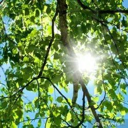 ���� ������, �������� ����������, �������� ��� � �������� ������