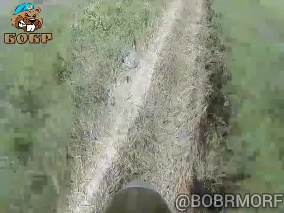 ����� ����������� FPV-������� ����� ���� � ������ ��� �� ����������� �����������