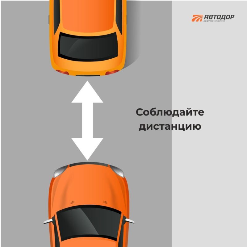 ���������������� ����������� ������� �����������