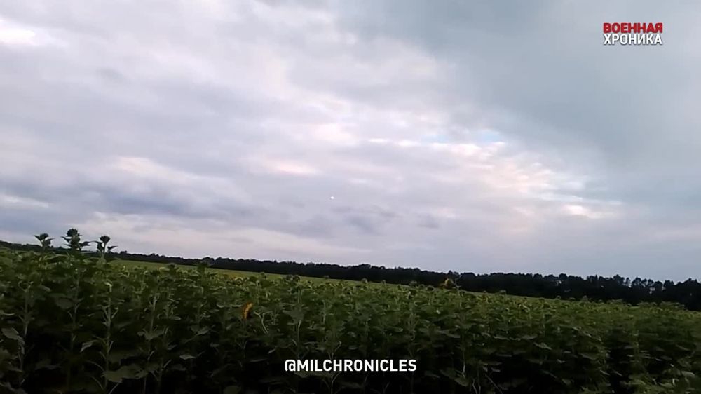 ��������� ������� ������� �� ������ �������� � �������� � ���������