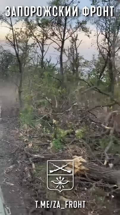 ��������� ������������ ������� ��� �� ����������� �����������