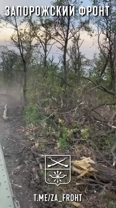 ����� �����: ������������ ������� ��� �� ����������� �����������